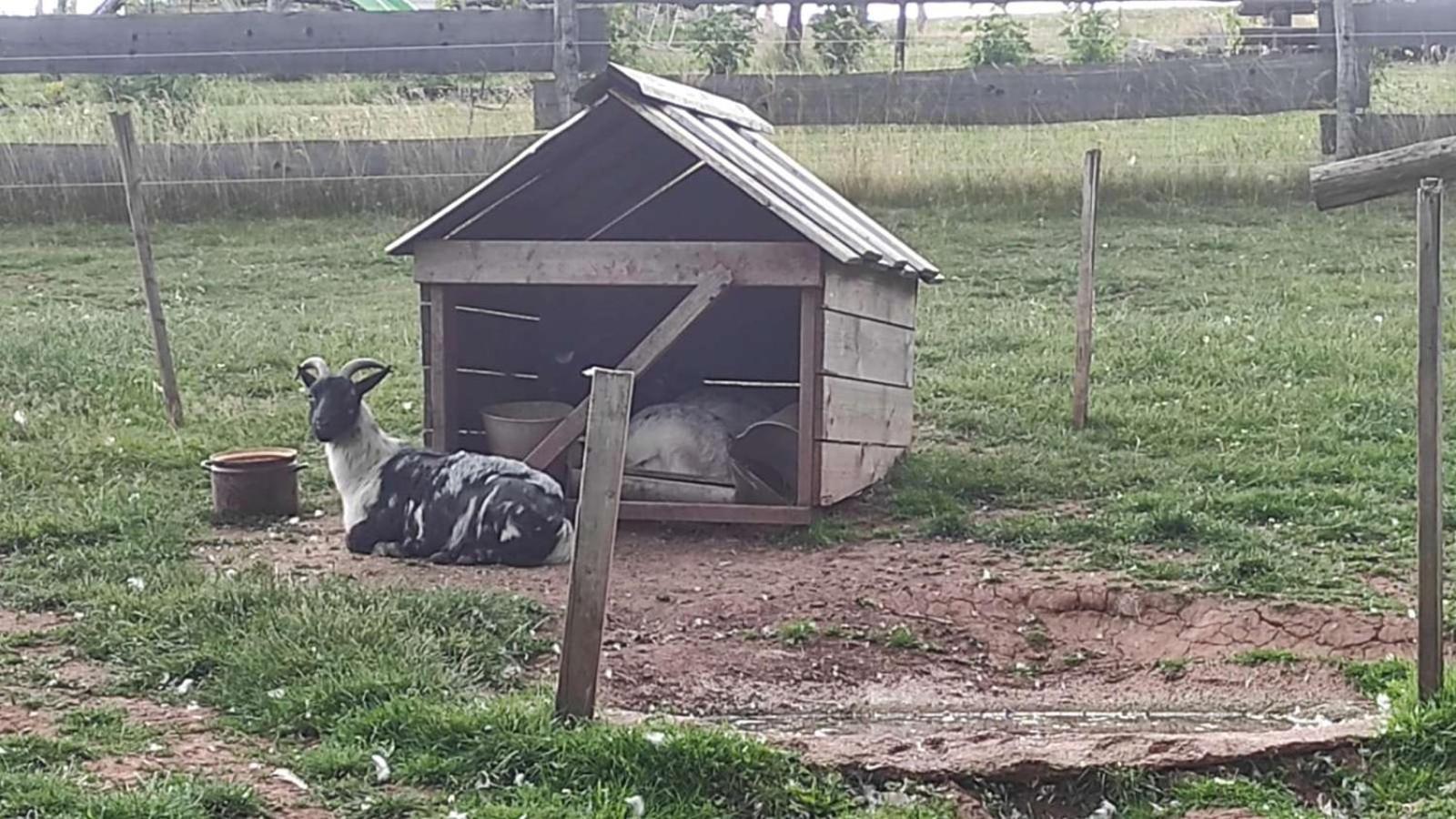 Apartman Na Statku Cerveny Kostelec Appartement Buitenkant foto